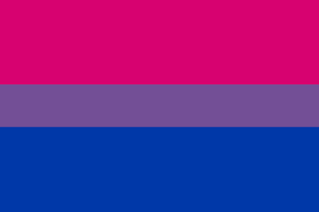 Bisexual Mature Male Escort sexuality flag image