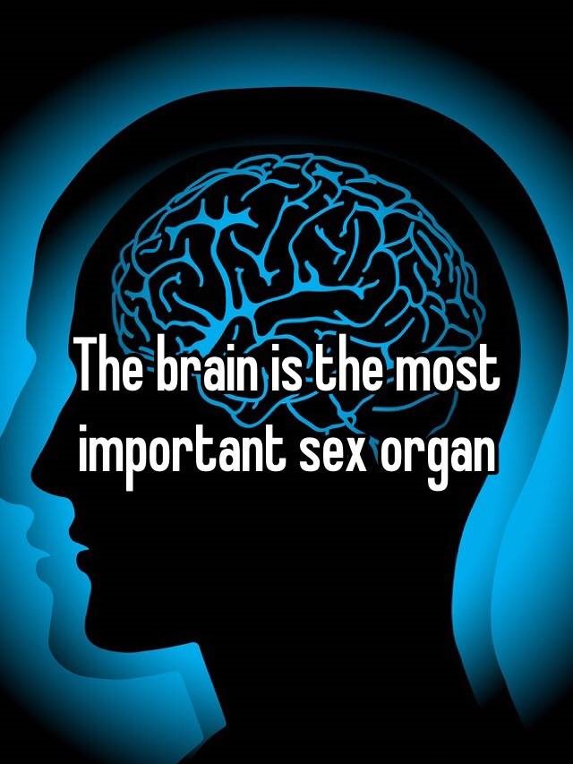 Why is Erotic Audio hotter than porn? Because the brain is the biggest sex organ. Image shows brain with caption