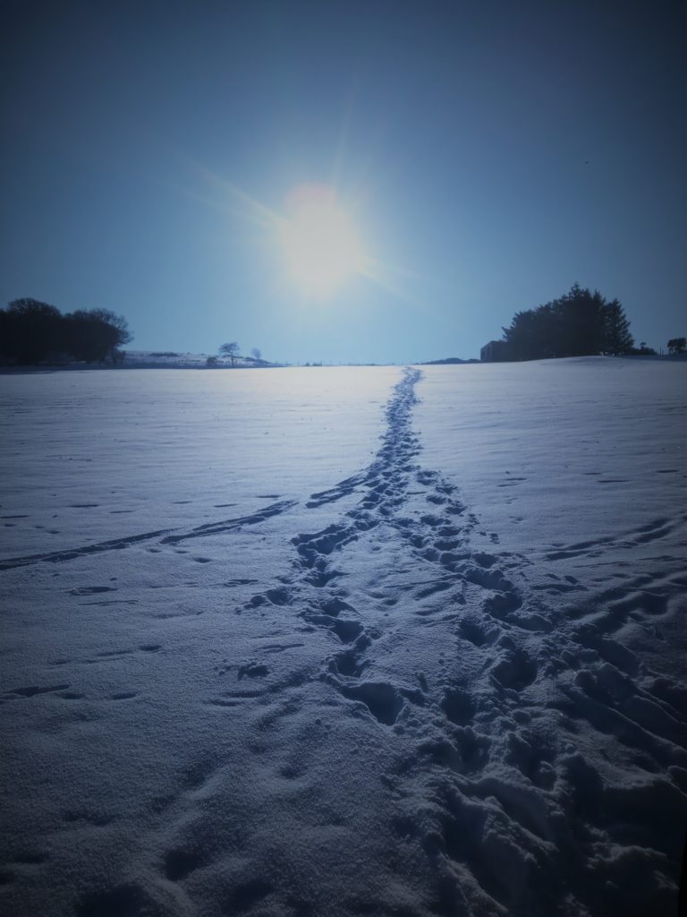 Snow in County Durham with fun50couple