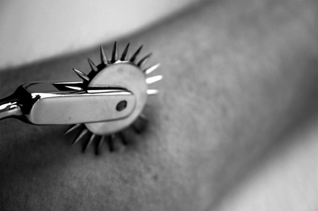 B&W Wartenberg Wheel NEWS VIEWS & SCREWS