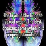 brain is the largest sex organ